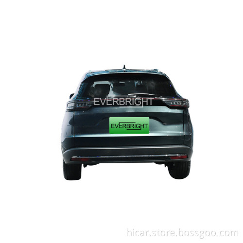 China Factory Cool Adult 4 Wheel Electric New Car /Electric Automobile Energy Car 2023 auto vehicle